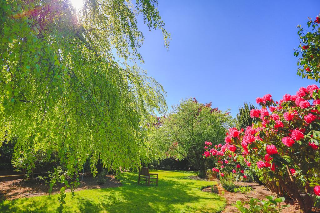 Diamond Hill Country House Γουότερφορντ Εξωτερικό φωτογραφία